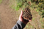 photo thumbnail #14
