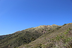 photo thumbnail #15