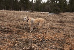 photo thumbnail #2