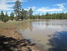 photo thumbnail #3