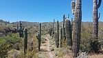 photo thumbnail #2