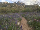 photo thumbnail #4