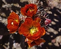 photo thumbnail #4