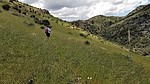 photo thumbnail #9