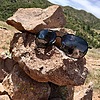 photo thumbnail #11