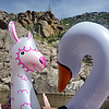 photo thumbnail #11