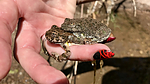 photo thumbnail #1