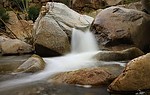 photo thumbnail #5