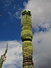photo thumbnail #5