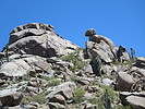 photo thumbnail #4