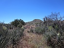 photo thumbnail #5