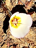 photo thumbnail #14