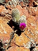 photo thumbnail #15