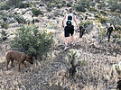 photo thumbnail #2