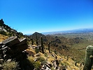 photo thumbnail #6