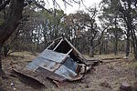 photo thumbnail #6