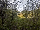 photo thumbnail #12