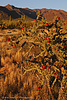 photo thumbnail #2