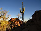 photo thumbnail #3
