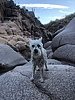 photo thumbnail #2