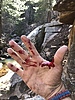 photo thumbnail #1