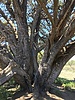 photo thumbnail #10
