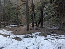 photo thumbnail #7