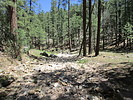 photo thumbnail #3