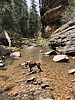 photo thumbnail #9