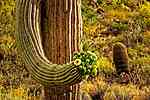 photo thumbnail #10