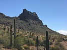photo thumbnail #1