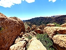 photo thumbnail #9