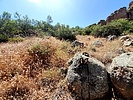 photo thumbnail #14