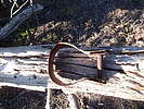 photo thumbnail #12