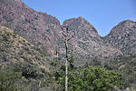 photo thumbnail #6