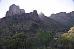photo thumbnail #3