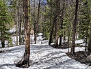 photo thumbnail #6