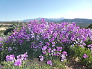 photo thumbnail #7