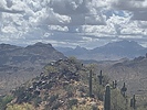 photo thumbnail #2