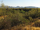 photo thumbnail #6