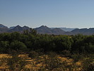 photo thumbnail #12