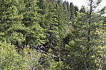 photo thumbnail #14