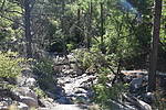 photo thumbnail #13