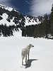 photo thumbnail #2