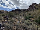 photo thumbnail #2