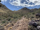 photo thumbnail #3