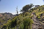 photo thumbnail #3