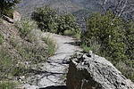 photo thumbnail #10