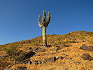 photo thumbnail #1
