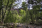 photo thumbnail #15